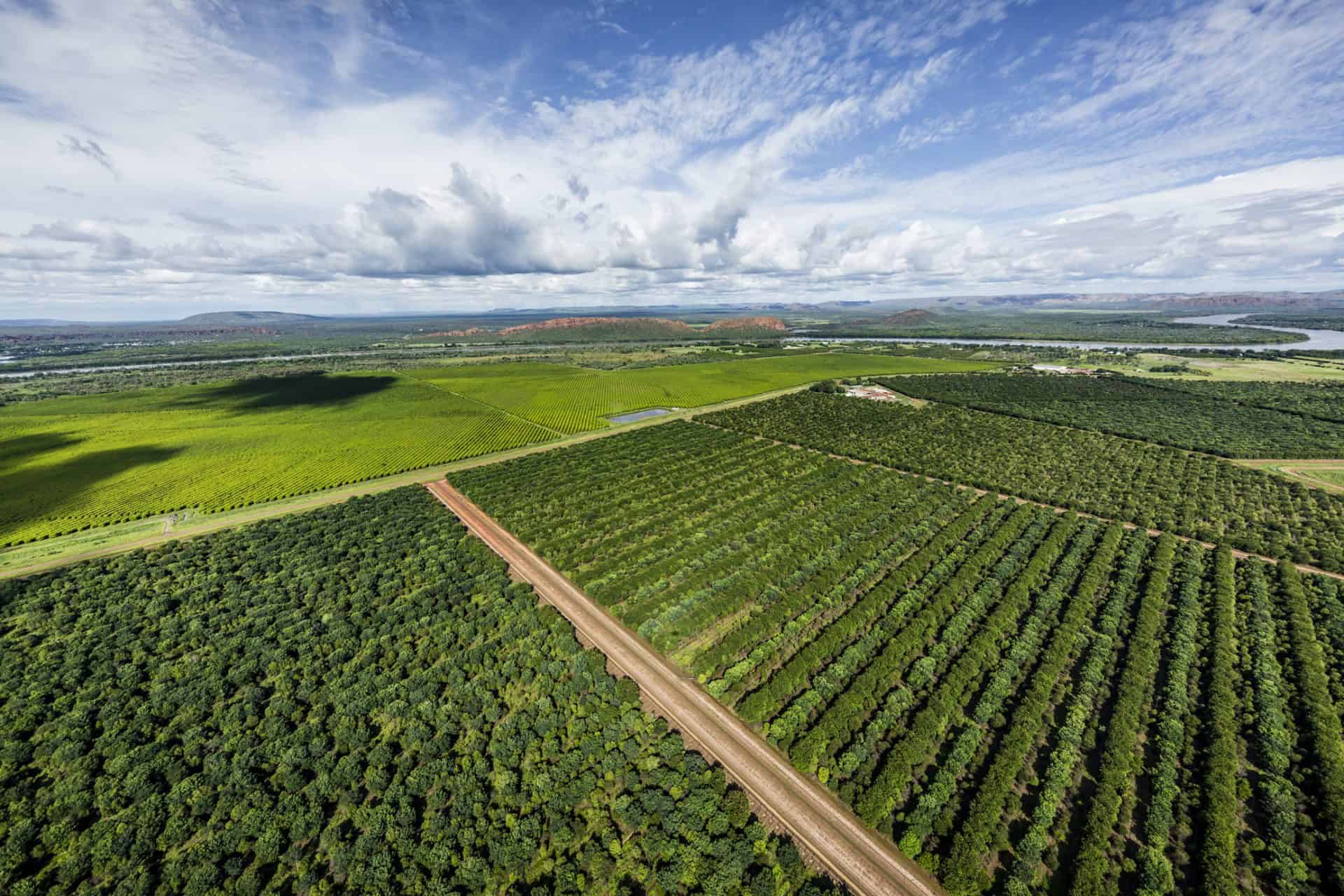 Discover the Ord Irrigation Scheme Kimberley Experiences