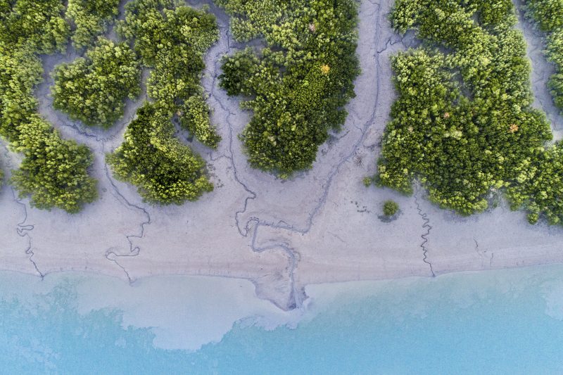 Hunter River, Kimberley Coastline