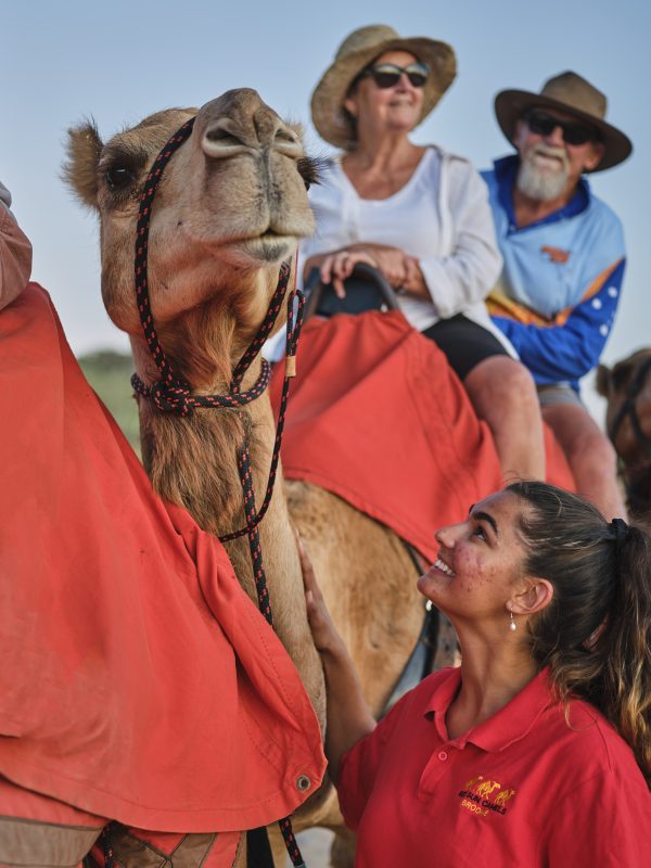Red Sun Camels Cable Beach, Broome